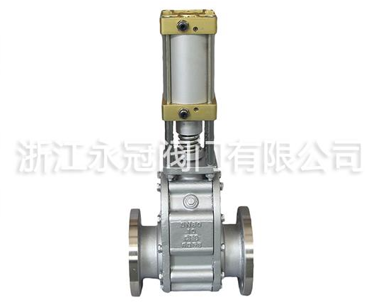 不鏽鋼(gāng)氣動出(chu)料閥